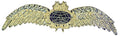 Pilot Wings Brooch – Gold Plated