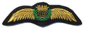Pilot Wings – Sew-on 115 mm
